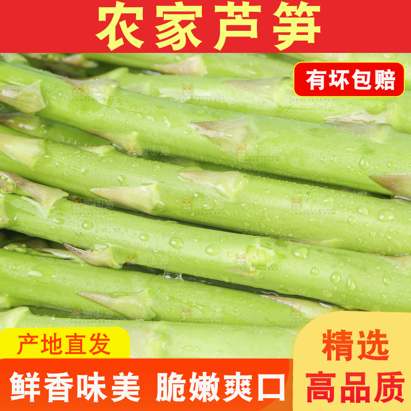 浅底上的青芦笋