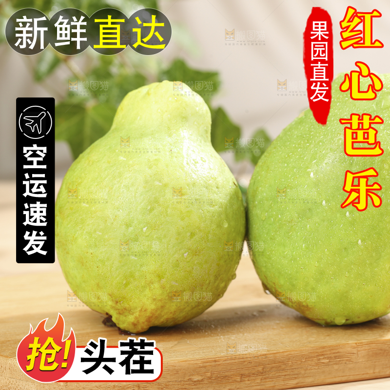 浅底上的红心软芭乐