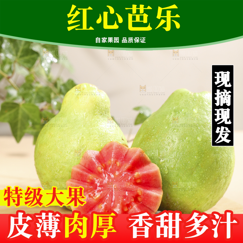 浅底上的红心软芭乐