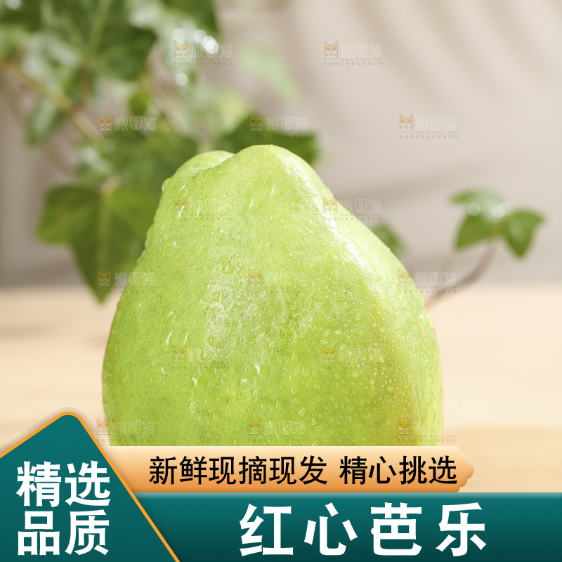 浅底上的红心软芭乐