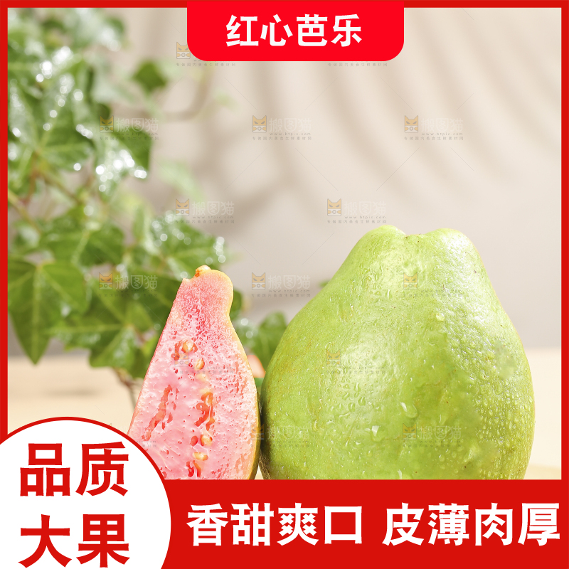 浅底上的红心软芭乐
