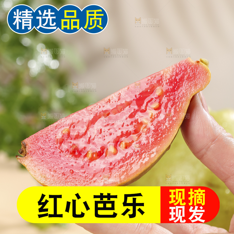 浅底上的红心软芭乐