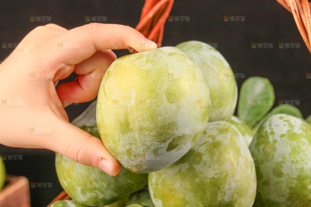深底上的油奈李