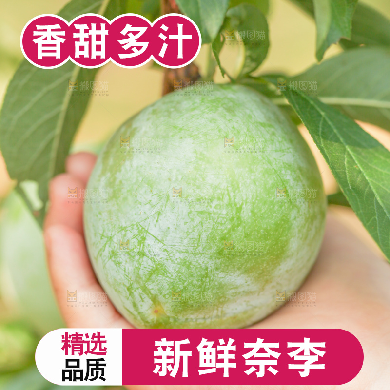 树上的新鲜奈李