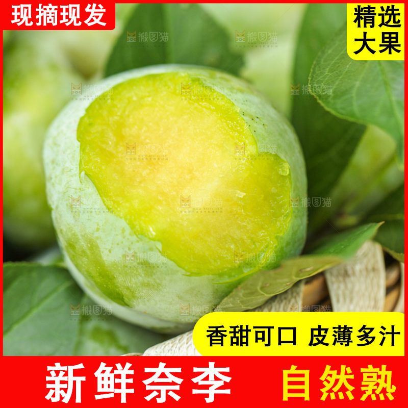 树上的新鲜奈李