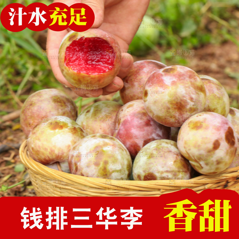 地上放着现摘三华李
