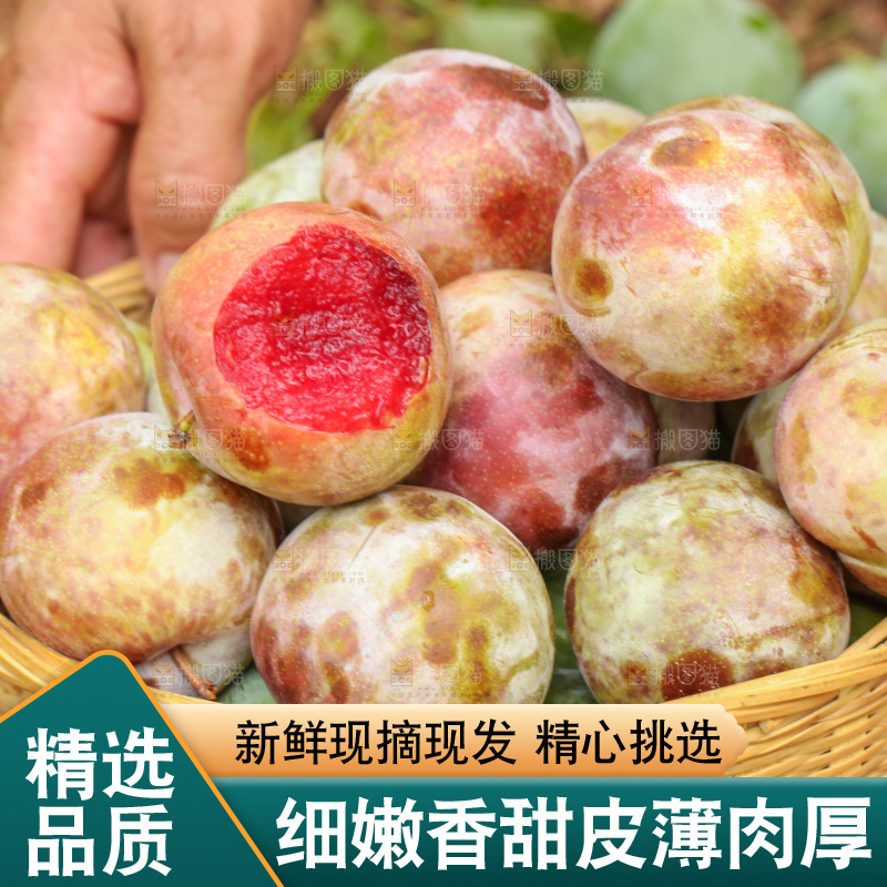 地上放着现摘三华李