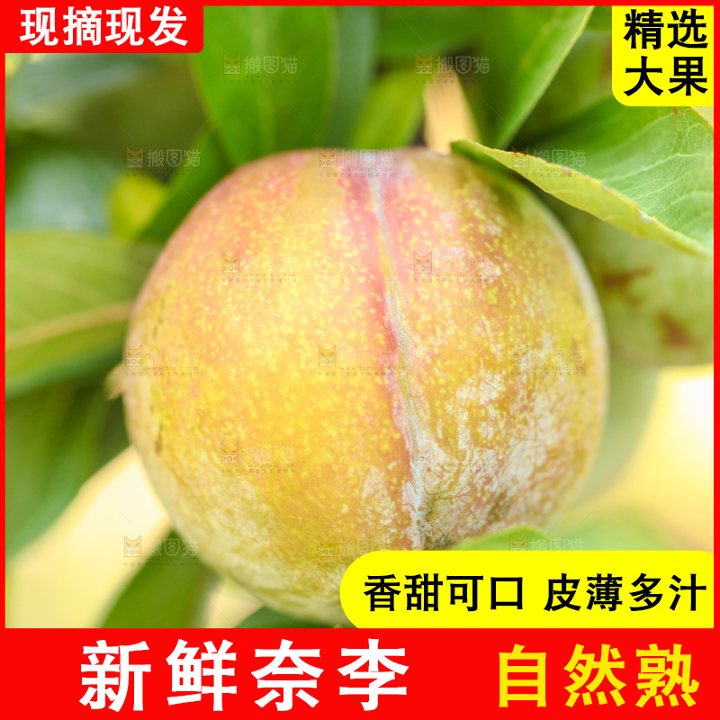 堆放着新鲜奈李