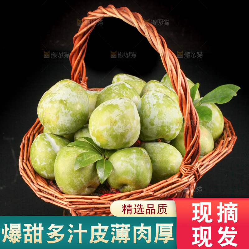 深底上的油奈李