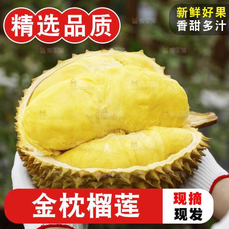 手里拿着金枕榴莲