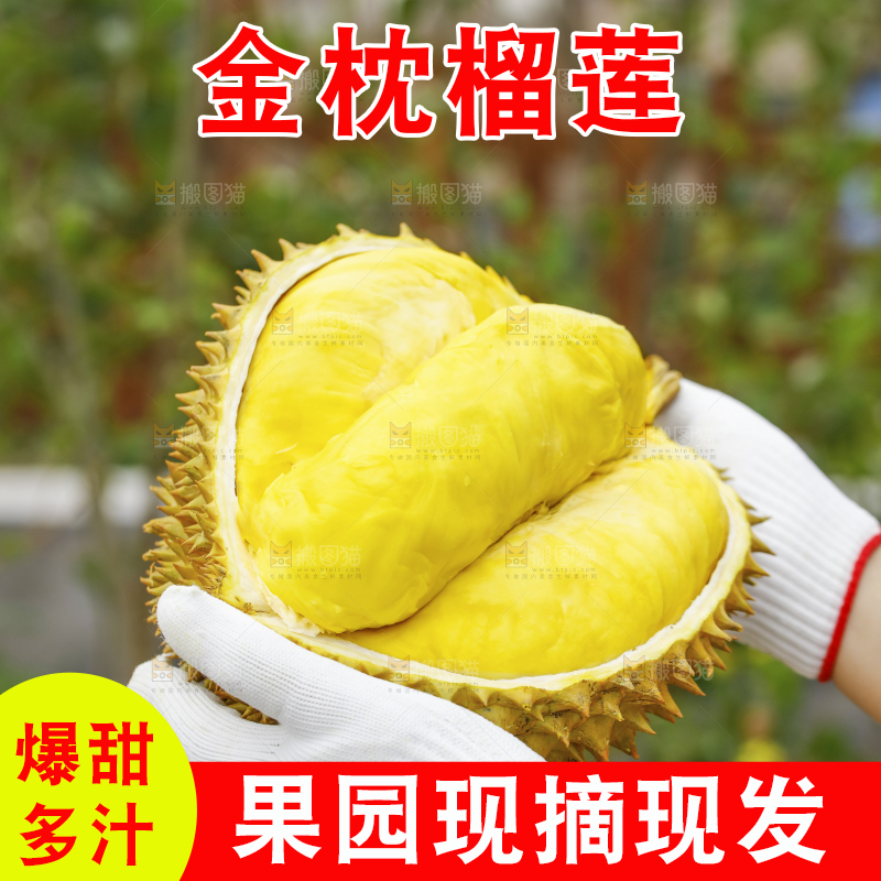 手里拿着金枕榴莲