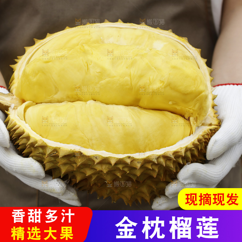 手里拿着金枕榴莲
