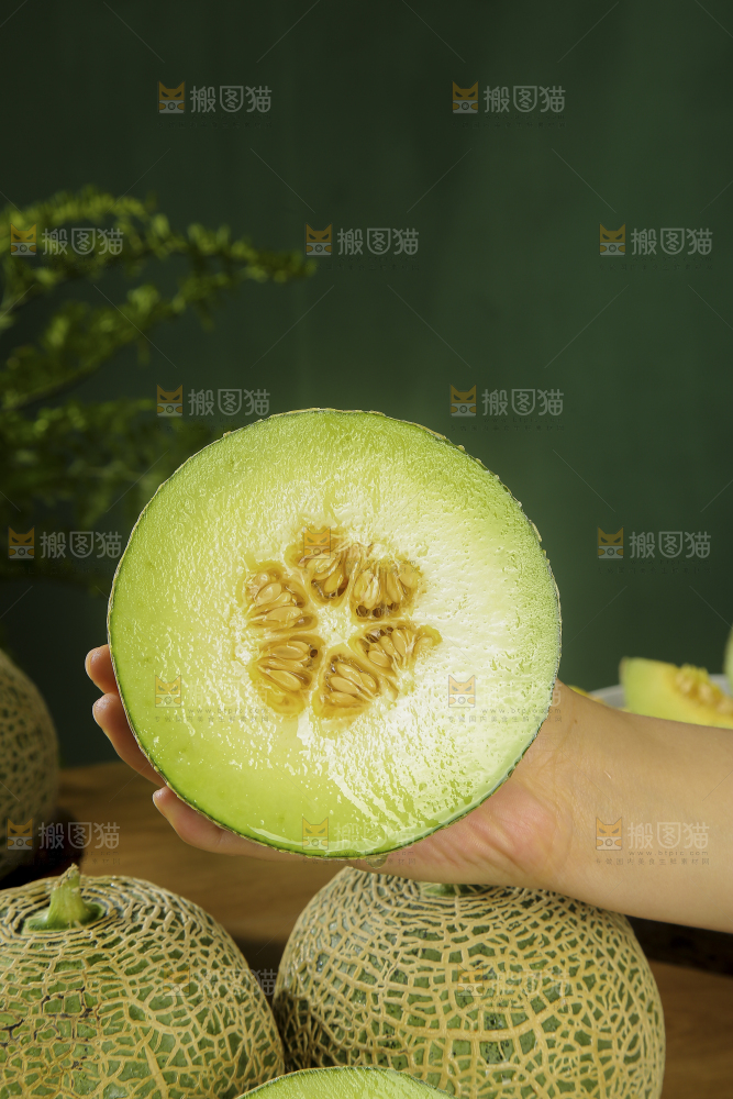 深底上的网纹蜜瓜