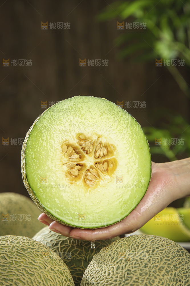木底上的网纹蜜瓜