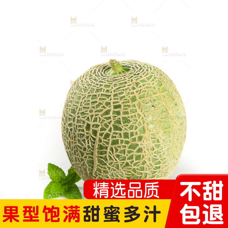 白底上的网纹蜜瓜