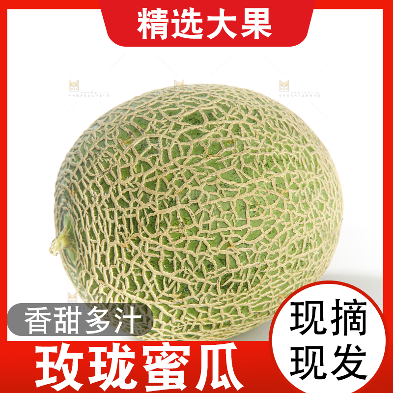 白底上的网纹蜜瓜