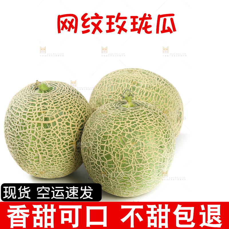 白底上的网纹蜜瓜