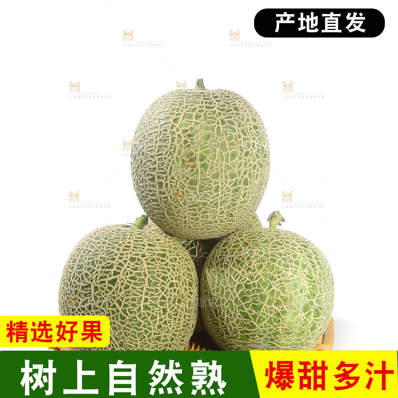 白底上的网纹蜜瓜