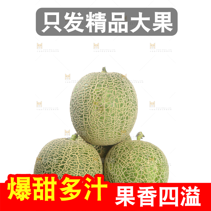 白底上的网纹蜜瓜