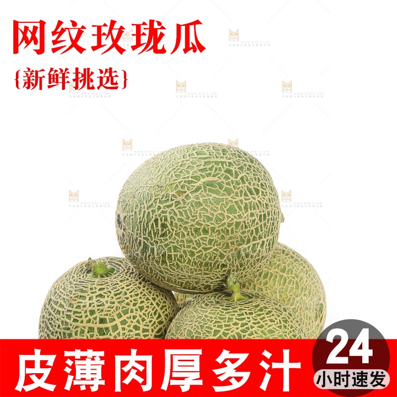 白底上的网纹蜜瓜