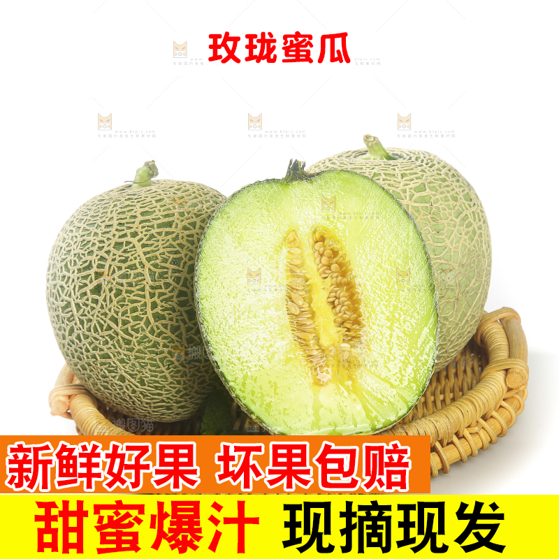 白底上的网纹蜜瓜