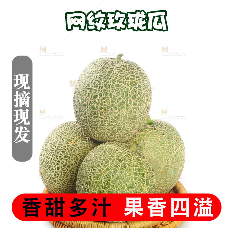 白底上的网纹蜜瓜