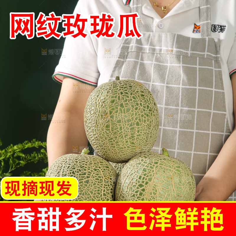 深底上的网纹蜜瓜