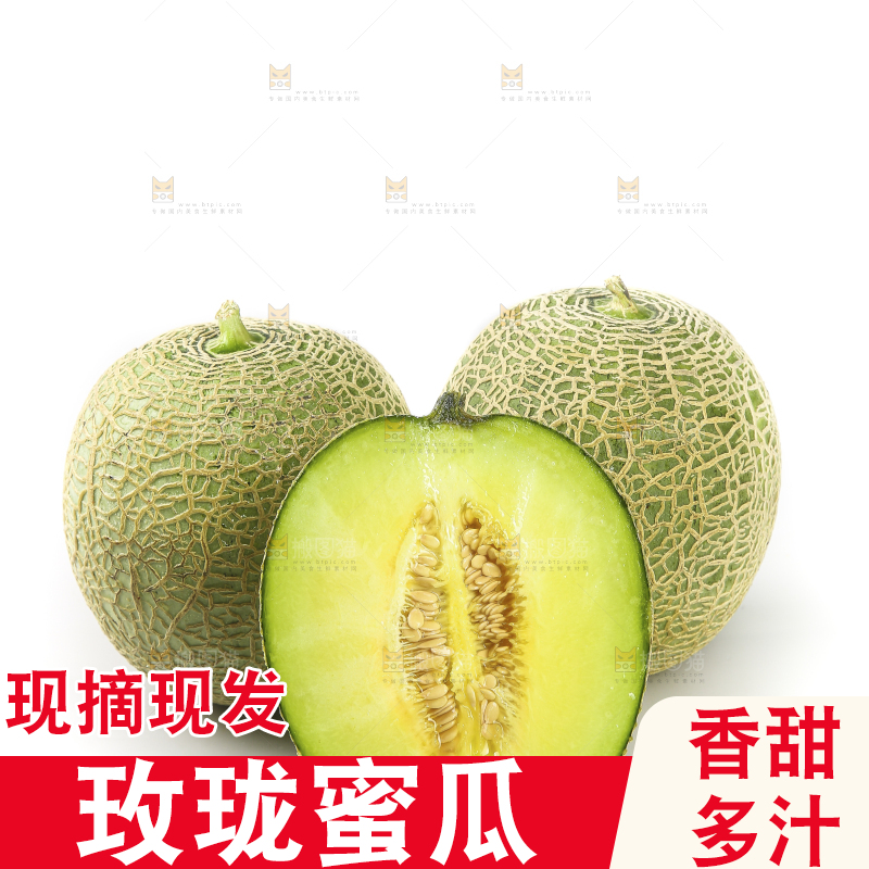 白底上的网纹蜜瓜