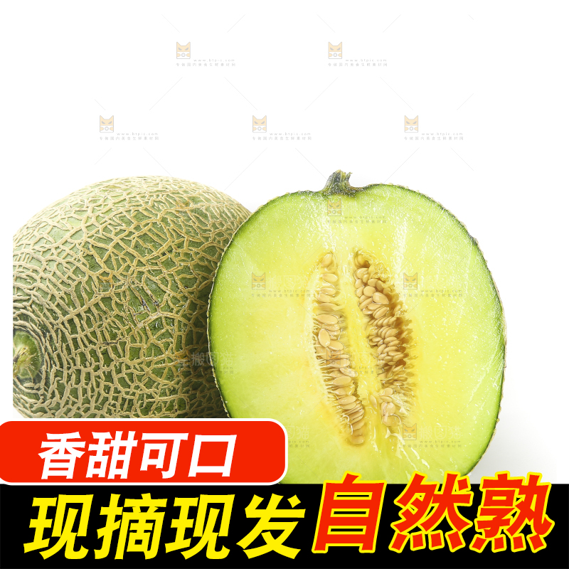 白底上的网纹蜜瓜