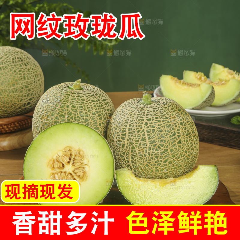 深底上的网纹蜜瓜