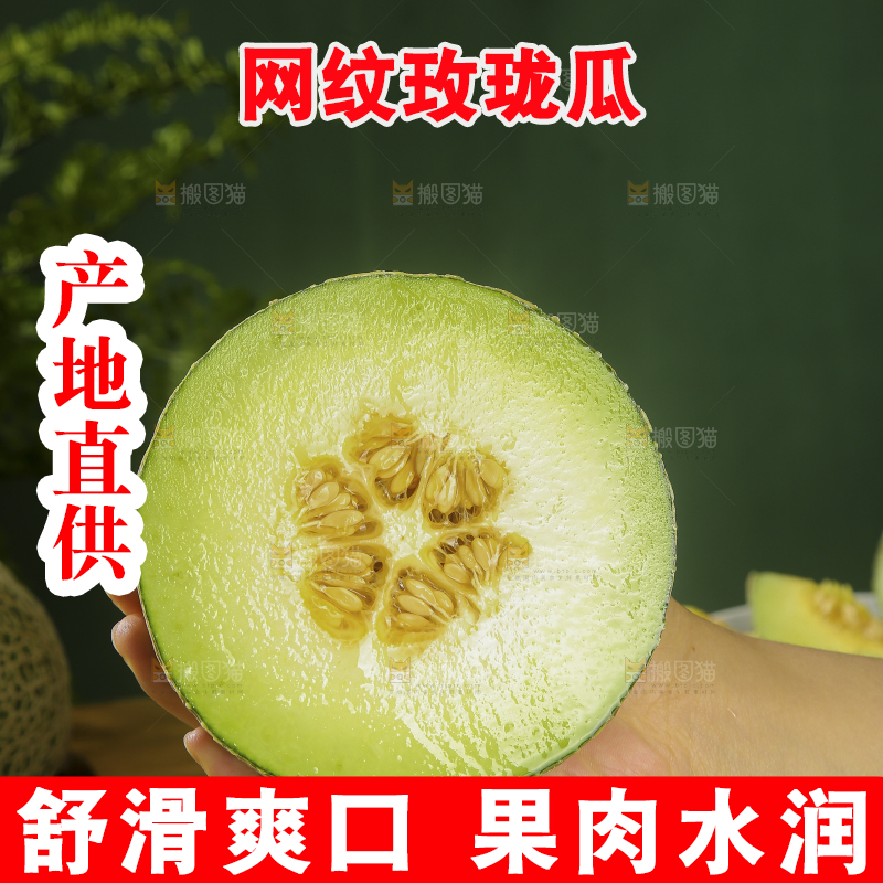 深底上的网纹蜜瓜