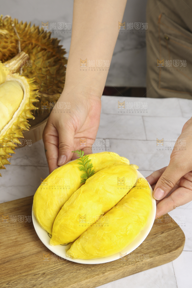 浅底上的金枕榴莲