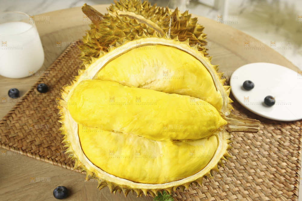 浅底上的金枕榴莲