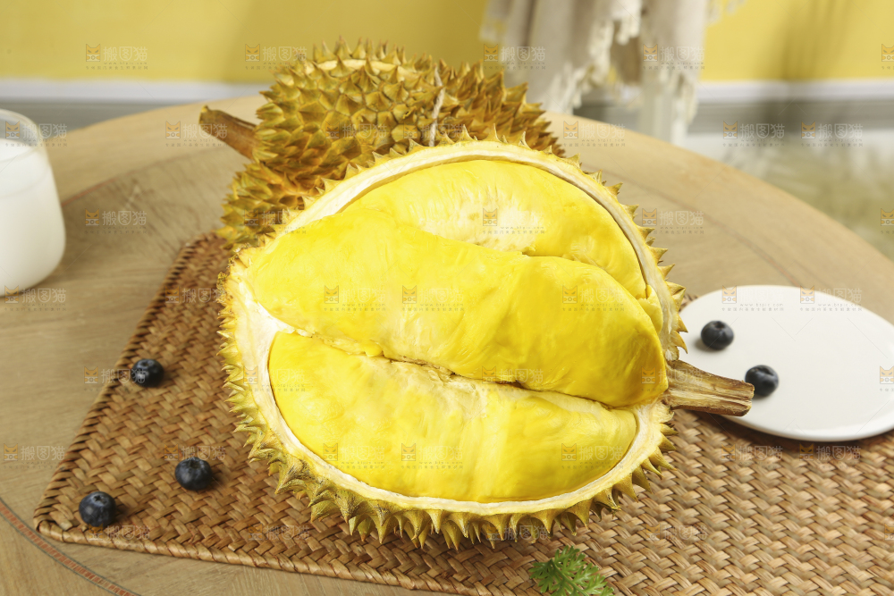 浅底上的金枕榴莲
