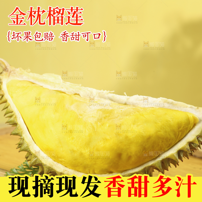 浅底上的金枕榴莲