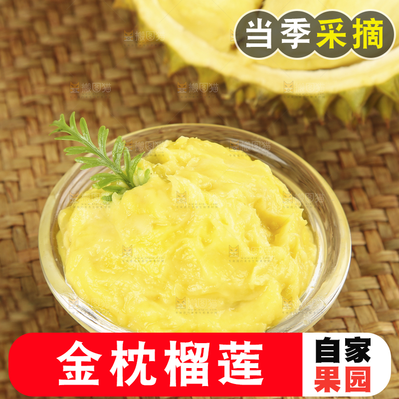 浅底上的金枕榴莲