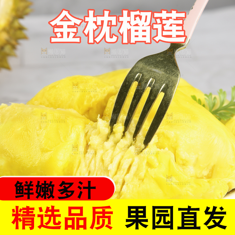 浅底上的金枕榴莲