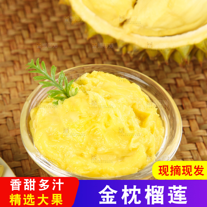 浅底上的金枕榴莲
