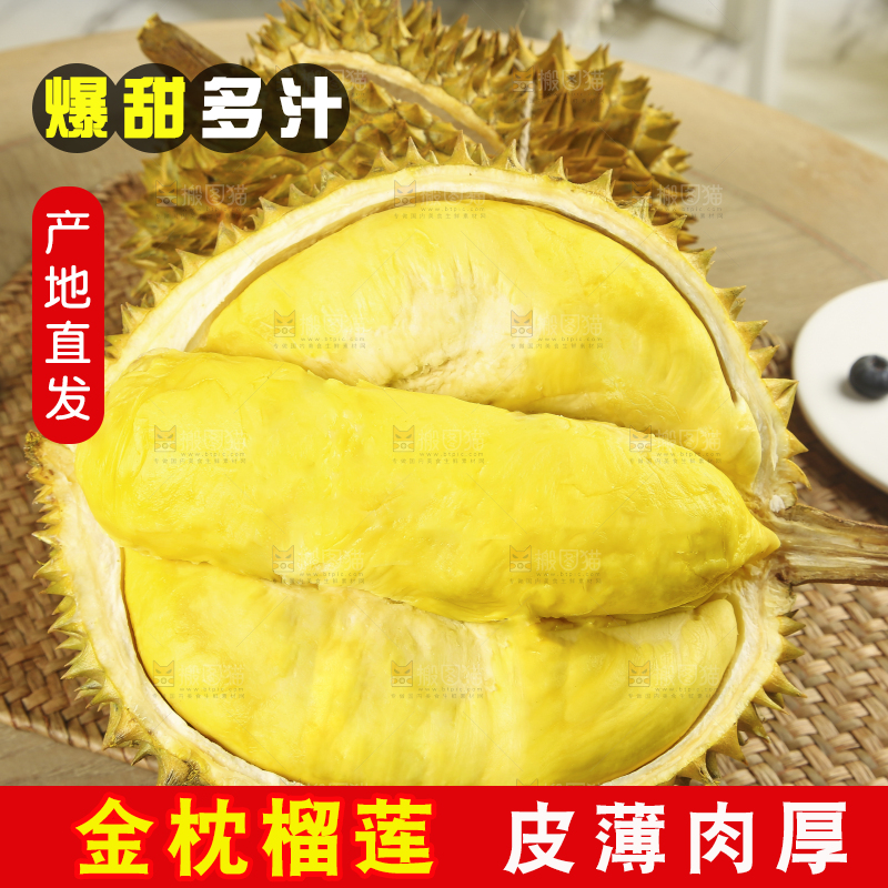 浅底上的金枕榴莲