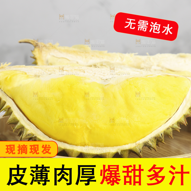 浅底上的金枕榴莲