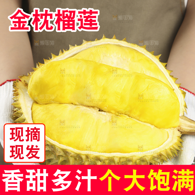 浅底上的金枕榴莲