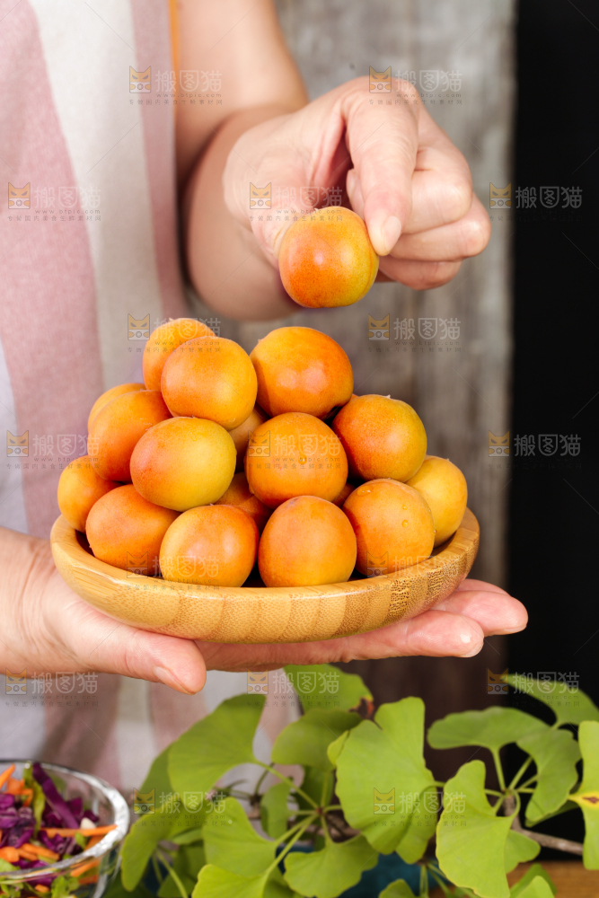 深底上的小红杏