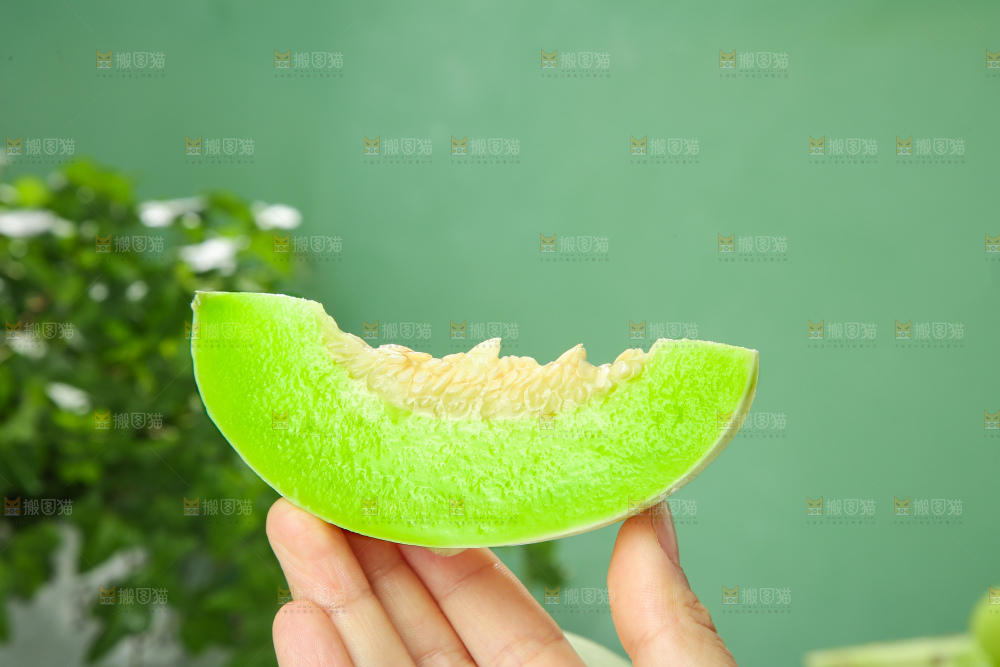 浅底上的玉菇甜瓜