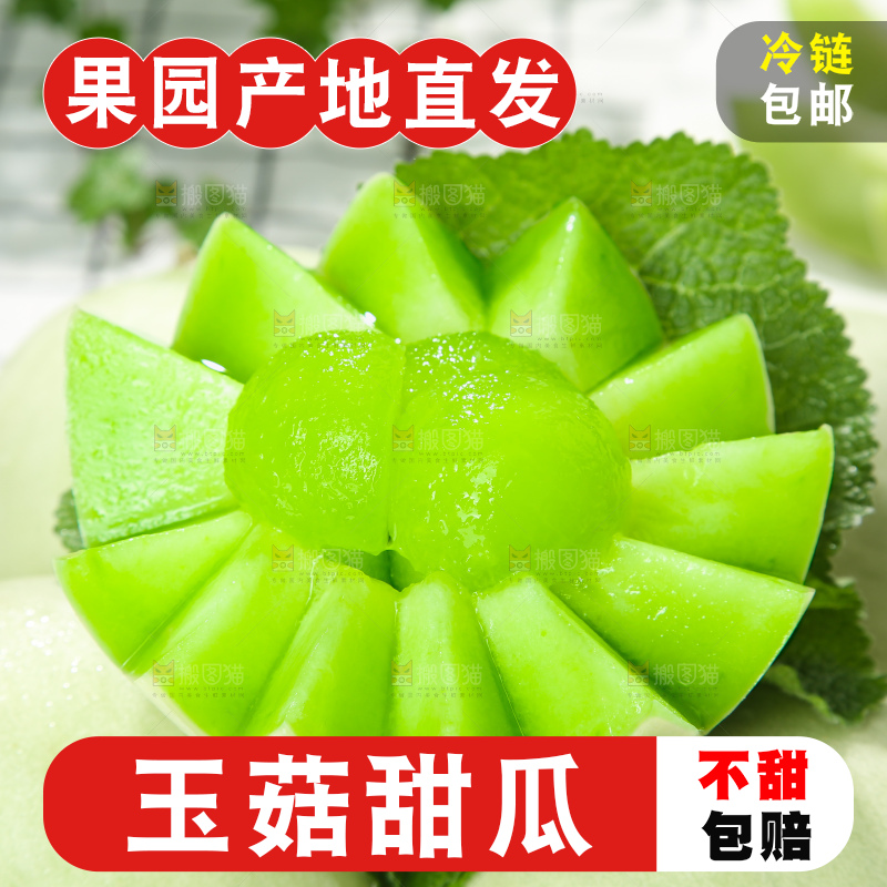浅底上的玉菇甜瓜