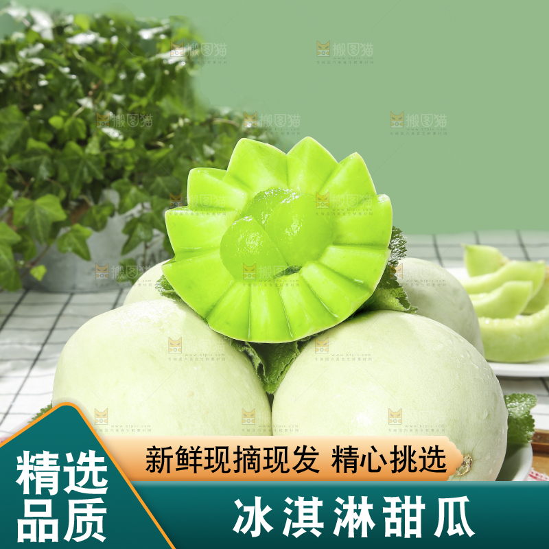浅底上的玉菇甜瓜