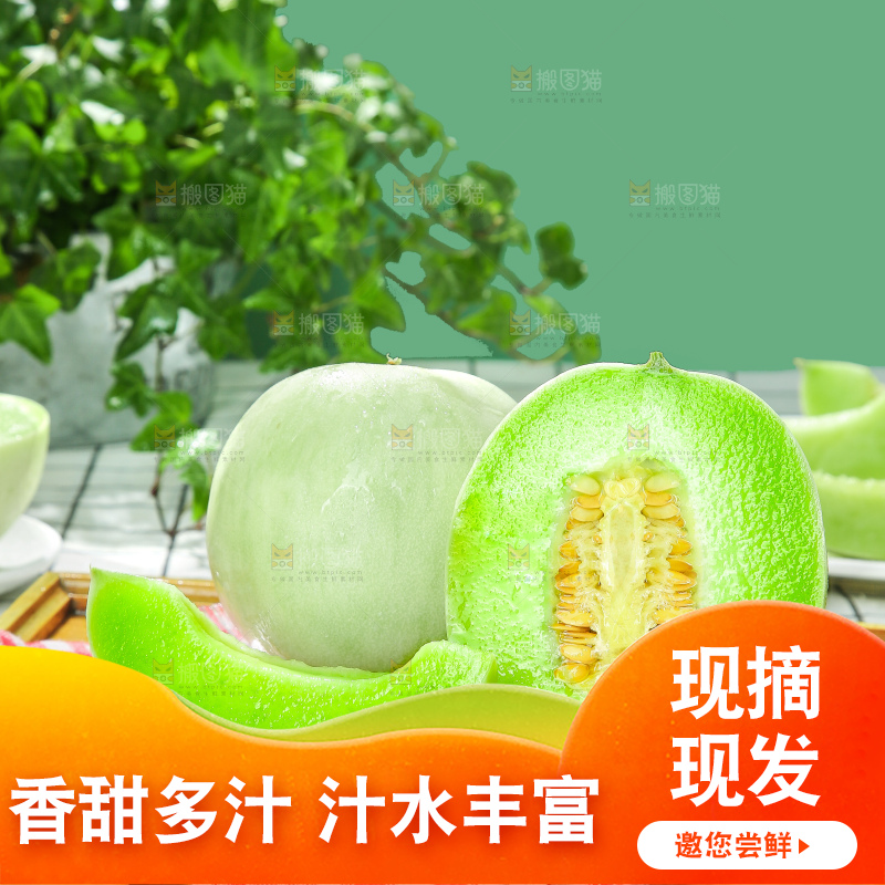 浅底上的玉菇甜瓜