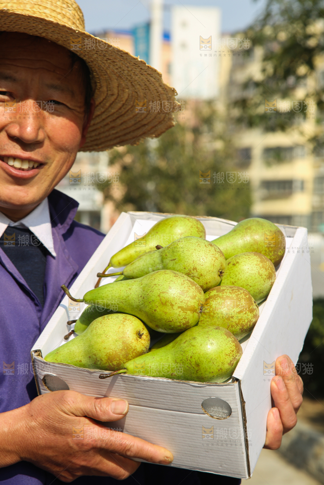 手里拿着青啤梨