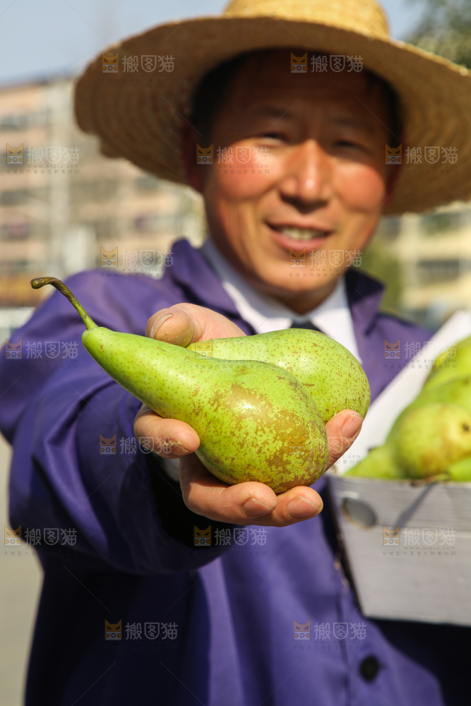 手里拿着青啤梨