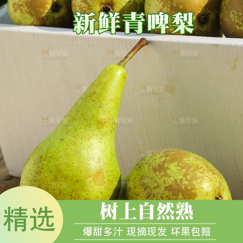 木底上的青啤梨