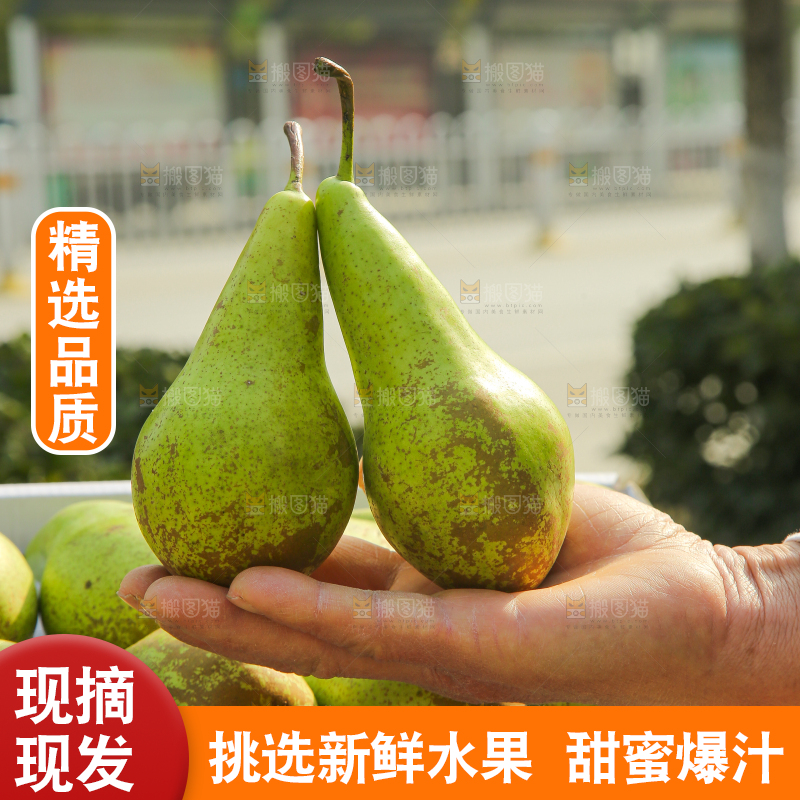 手里拿着青啤梨